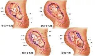 2025年1月16日 第22页