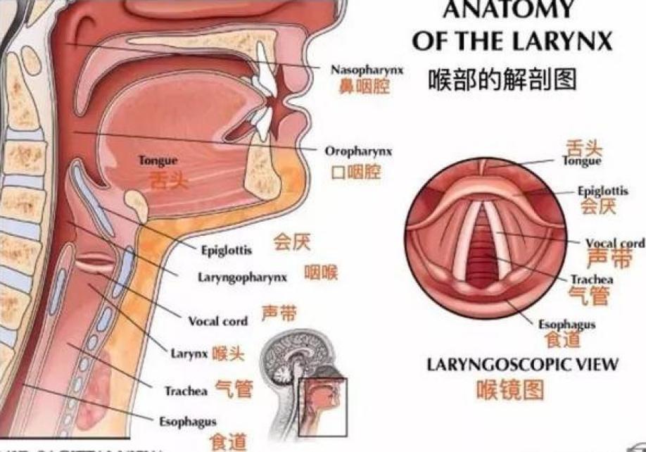 嗓子哑了一个月了，原因、影响与应对之道