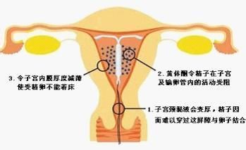 2025年1月27日 第6页