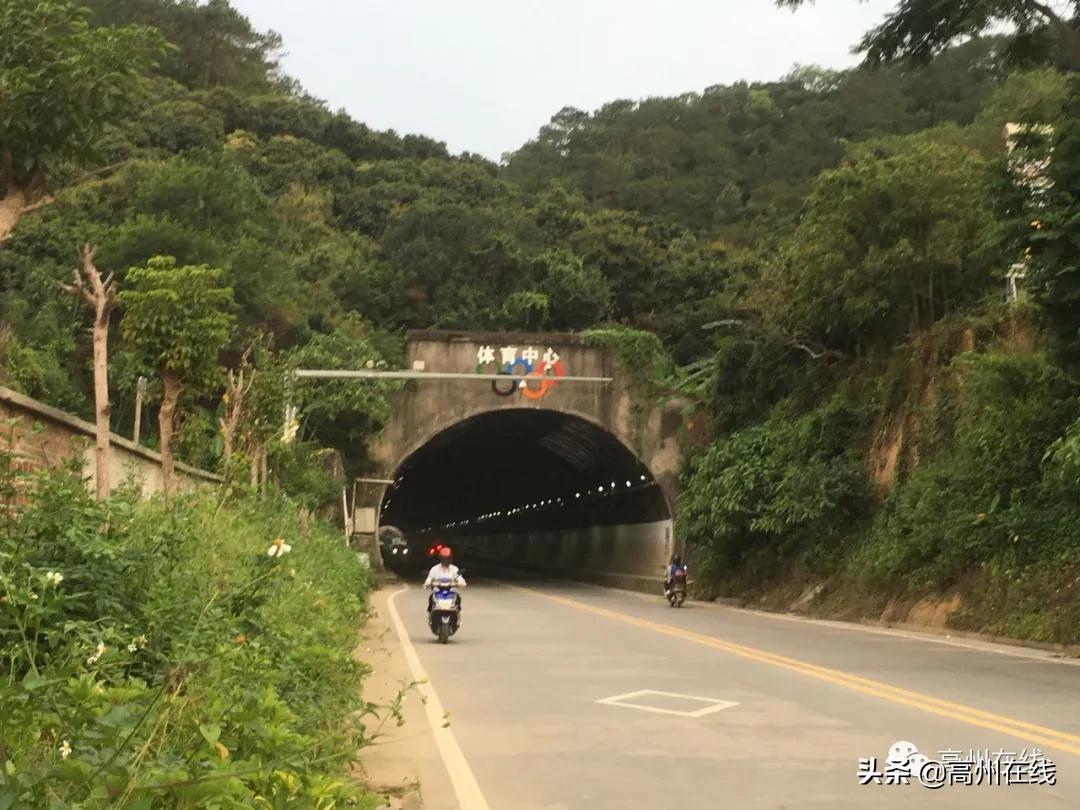 广东省茂名高州高中，历史沿革、教育特色与成就